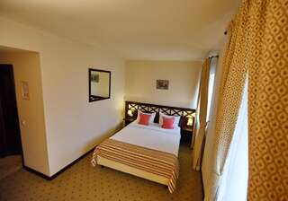 Отель Hotel Gradina Morii Сигету-Мармацией Двухместный номер с 1 кроватью и балконом-5