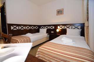 Отель Hotel Gradina Morii Сигету-Мармацией Стандартный двухместный номер с 2 отдельными кроватями-1